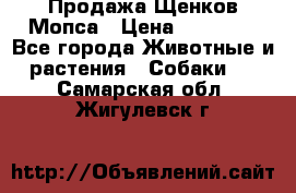 Продажа Щенков Мопса › Цена ­ 18 000 - Все города Животные и растения » Собаки   . Самарская обл.,Жигулевск г.